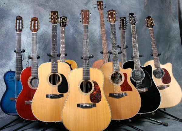 Guitar Acoustic The Best