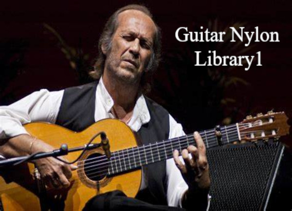 Guitar Nylon1 Library